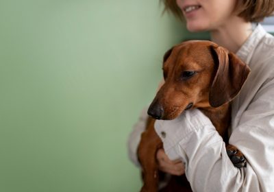 Imagem sobre plano de saúde para cachorro mostrando a tutora cuidando de seu cãozinho.